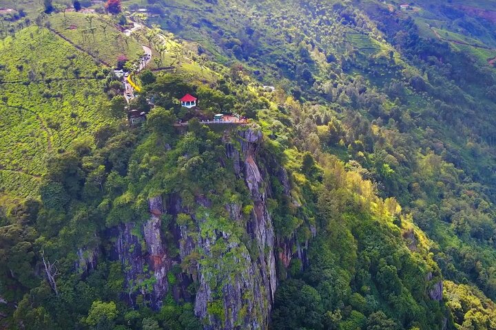 Coimbatore to Ooty Day Trip - Explore A Perfect Hill Station