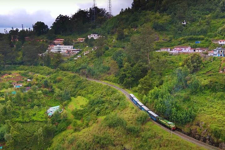 Coimbatore to Ooty Day Trip - Explore A Perfect Hill Station