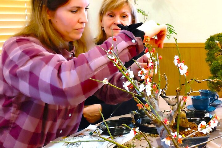 Bonsai Art Tour & Experience in Japan's Most Sacred "Bonsai City"