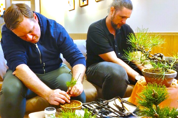 Bonsai Art Tour & Experience in Japan's Most Sacred "Bonsai City"