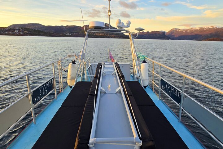 Alta: 2 Hours Guided Adventure Cruise in Alta Fjord