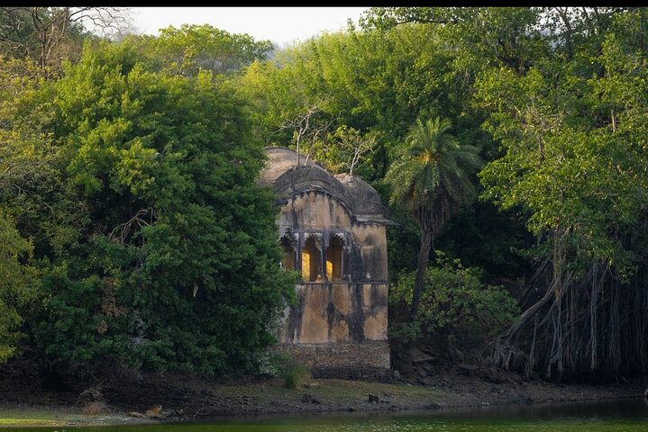 Ranthambore Safari Booking