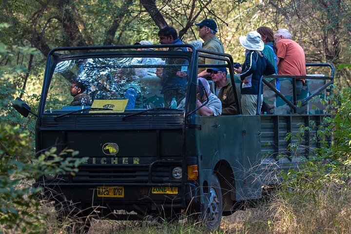 Ranthambore Safari Booking