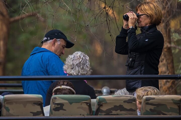 Ranthambore Safari Booking