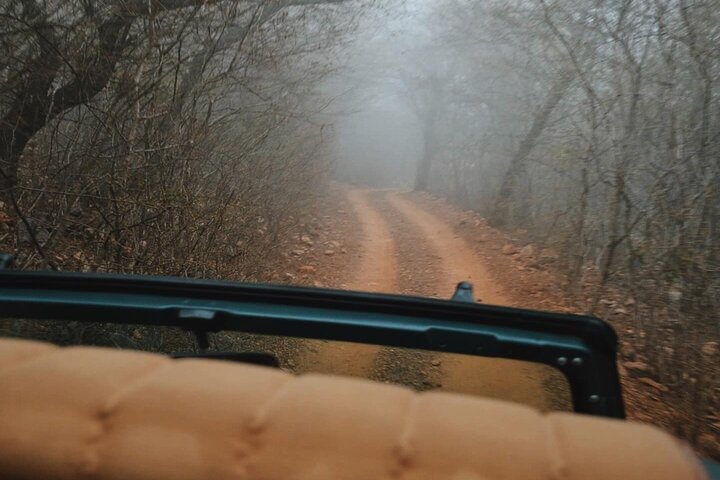 Ranthambore Safari Booking