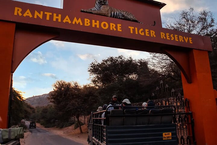 Ranthambore Safari Booking