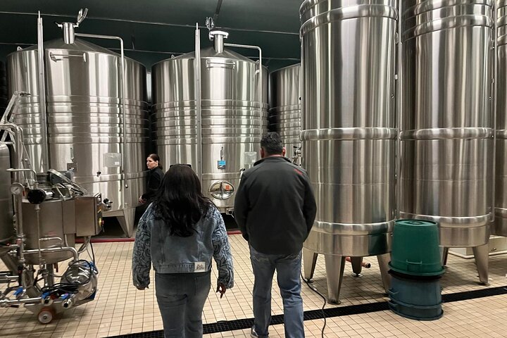 Epernay South Half Day Visit and Champagne Tastings