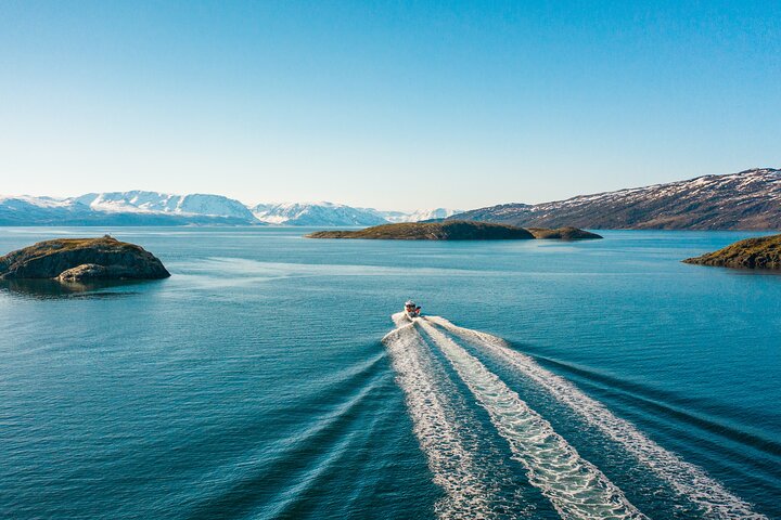 Alta: 3 Hours Guided Adventure Cruise in Alta Fjord