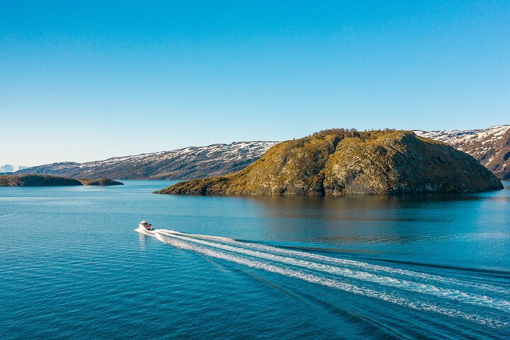 Alta: 3 Hours Guided Adventure Cruise in Alta Fjord