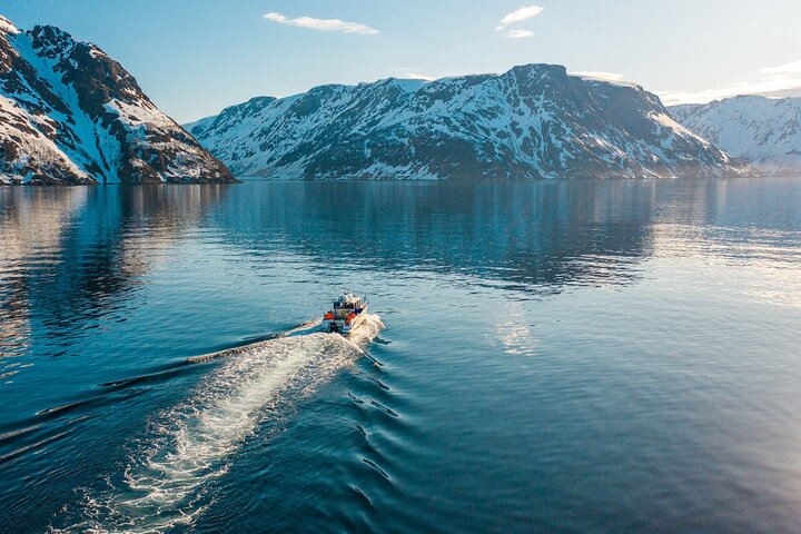 Alta: 3 Hours Guided Adventure Cruise in Alta Fjord