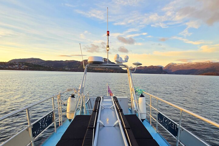 Alta: 3 Hours Guided Adventure Cruise in Alta Fjord