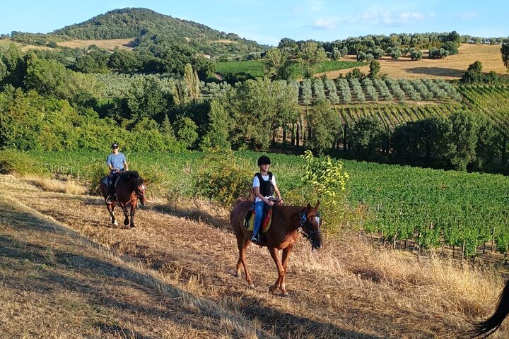 Horseback riding through the vineyards in Montepulciano Tuscany