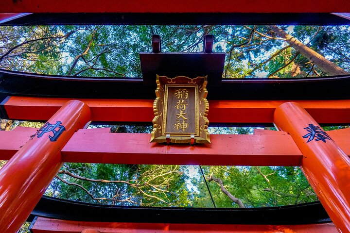 Osaka/Kyoto: Arashiyama, Fushimi Inari & Nara Park Day Trip