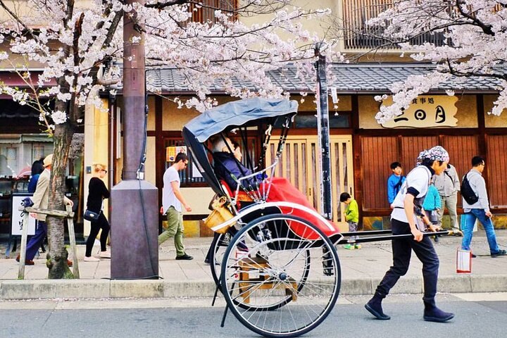 Osaka/Kyoto: Arashiyama, Fushimi Inari & Nara Park Day Trip
