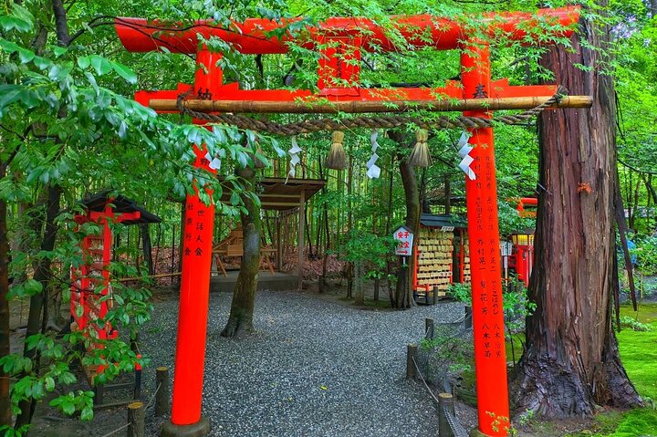 Osaka/Kyoto: Arashiyama, Fushimi Inari & Nara Park Day Trip