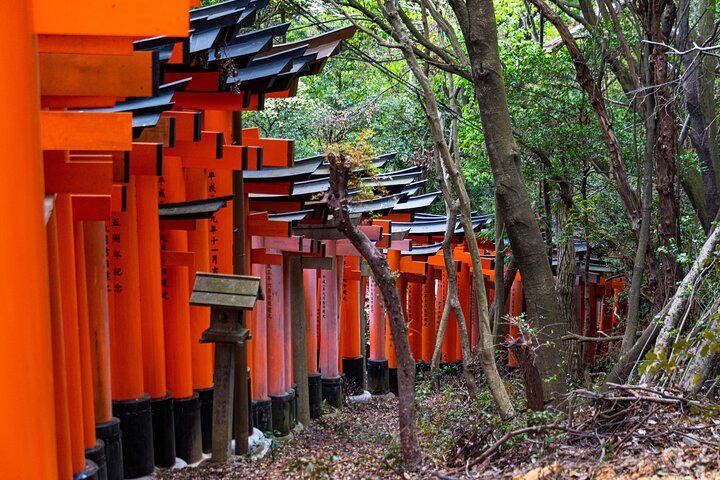 Osaka/Kyoto: Arashiyama, Fushimi Inari & Nara Park Day Trip