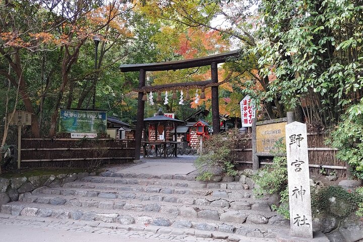 Osaka/Kyoto: Arashiyama, Fushimi Inari & Nara Park Day Trip