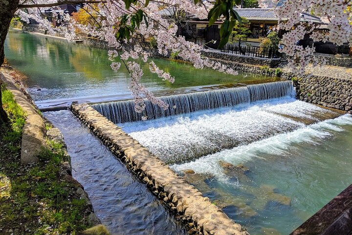Osaka/Kyoto: Arashiyama, Fushimi Inari & Nara Park Day Trip