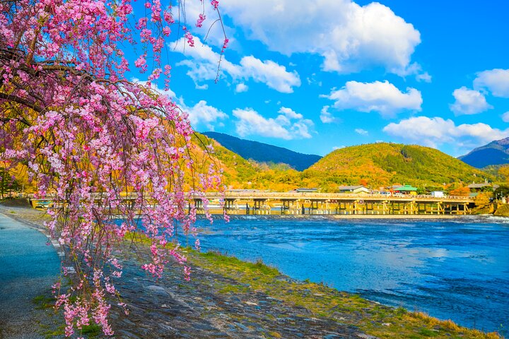 Osaka/Kyoto: Arashiyama, Fushimi Inari & Nara Park Day Trip