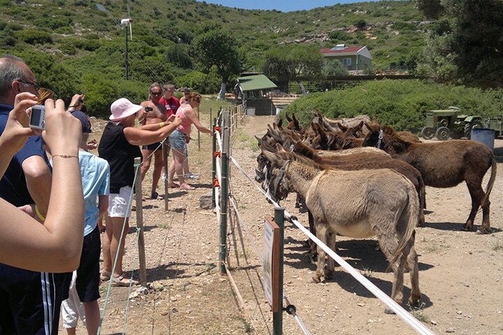 Cesme Boat Tour Hidden Bays Cruise with Swimming Stops