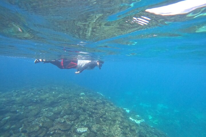 Okinawa West Coast Paddle-boarding adventures Pickup available