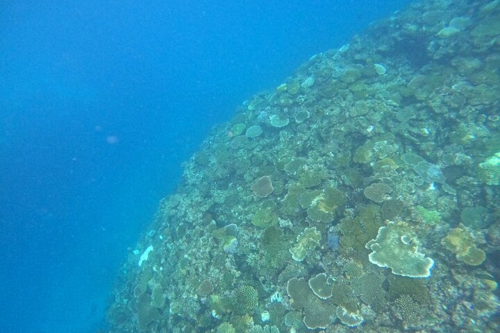 Okinawa West Coast Paddle-boarding adventures Pickup available