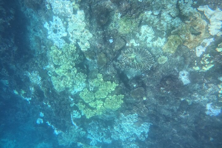 Okinawa West Coast Paddle-boarding adventures Pickup available