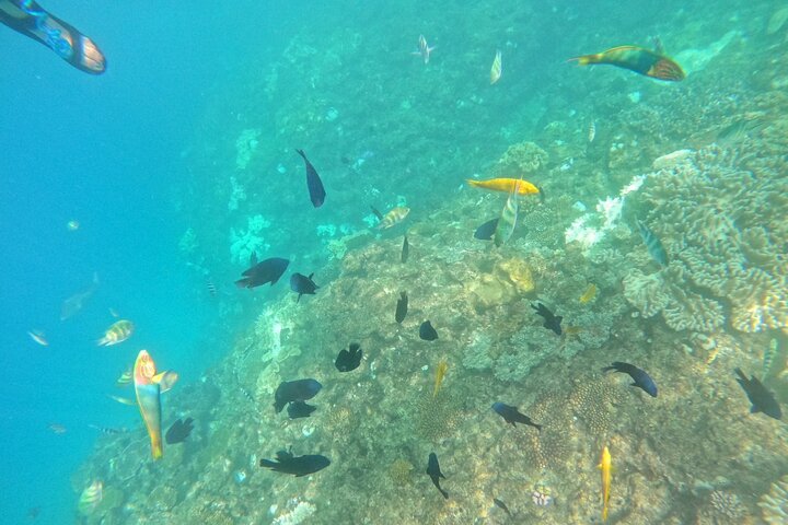 Okinawa West Coast Paddle-boarding adventures Pickup available