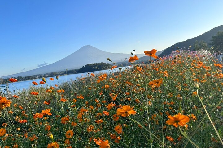 Lake Kawaguchi : Exclusive Private Customized Tour w/ Local Guide