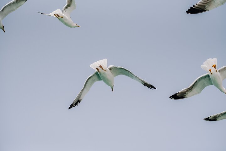 Lanzarote: La Graciosa island cruise with lunch and water activities