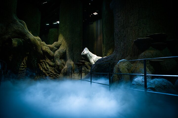 Harry Potter Warner Bros. Studio Tour with Transport from London