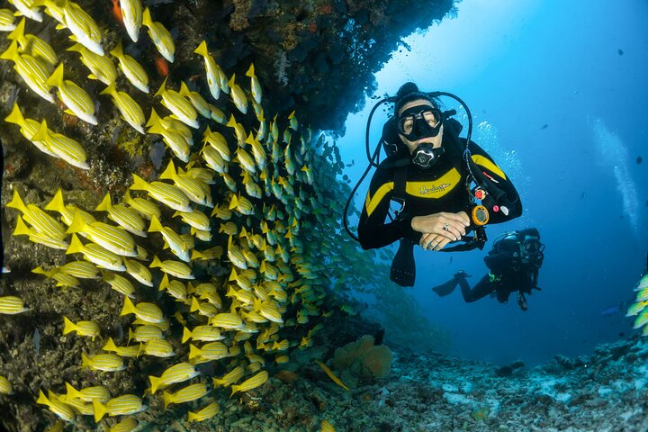 Tulamben Diving USS Liberty Shipwreck Scuba Dive