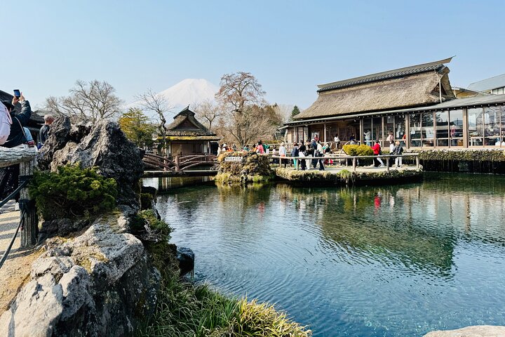 Tokyo: Customized Mt. Fuji & Hakone Sightseeing Private Day Trip