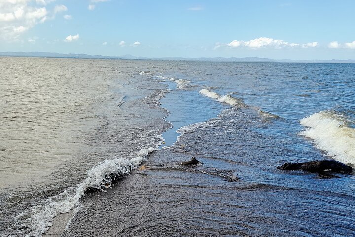 From Managua: Ometepe Island Full Day Trip on The 11th Wonder