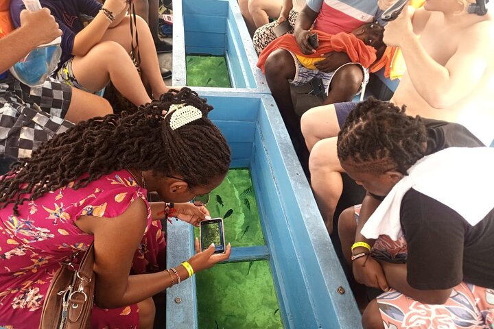 Diani Beach Glass Bottom Boat Ride with Underwater Show