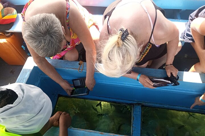 Diani Beach Glass Bottom Boat Ride with Underwater Show