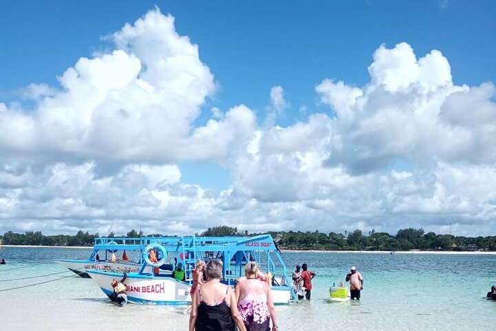 Diani Beach Glass Bottom Boat Ride with Underwater Show