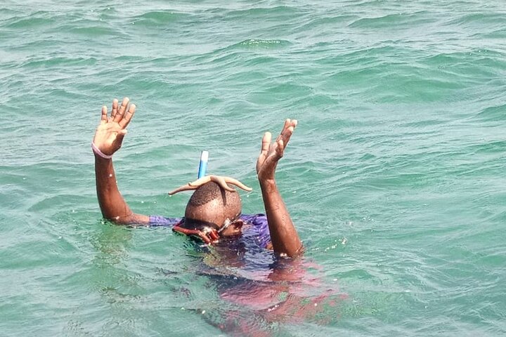 Diani Beach Glass Bottom Boat Ride with Underwater Show