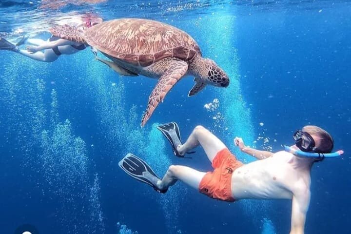 Exclusive Day Trip to Gili Trawangan, Meno & Air: Depart Lombok