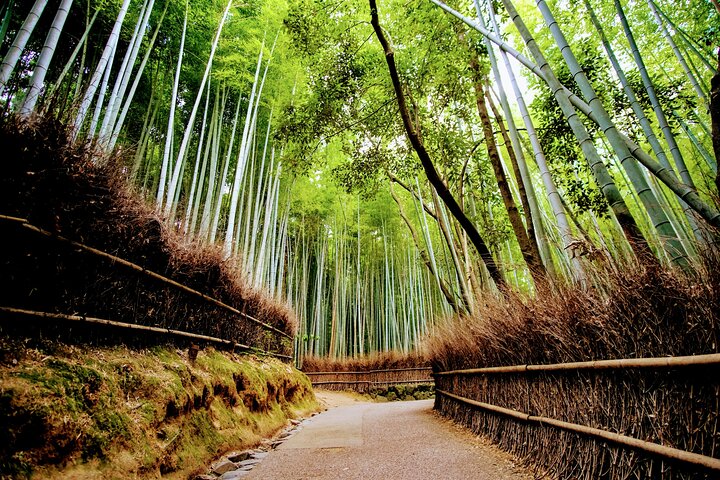 Private Kyoto Customizable Day Tour with English Speaking Driver