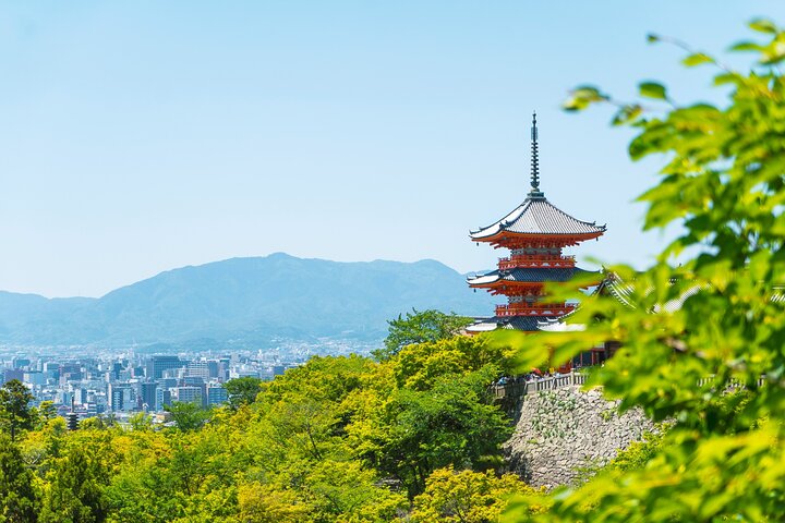 Private Kyoto Customizable Day Tour with English Speaking Driver
