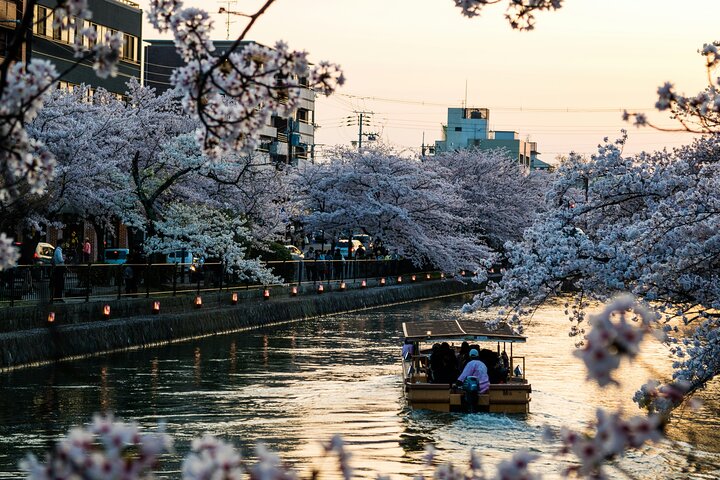 Private Kyoto Customizable Day Tour with English Speaking Driver