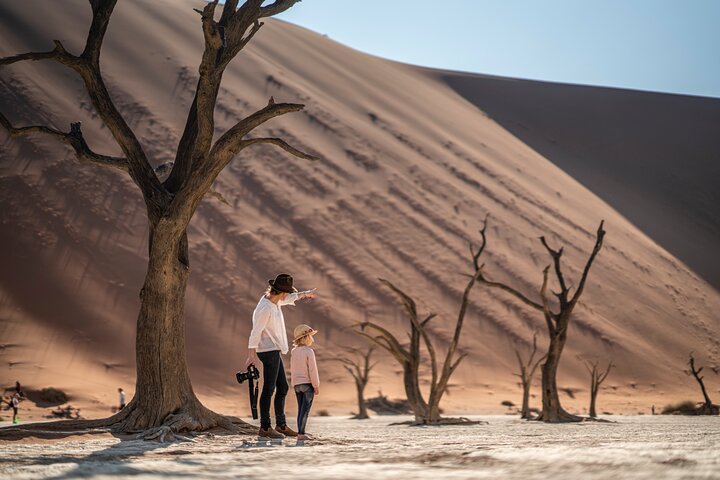 6-Day Private Namibia Desert & Safari Adventure