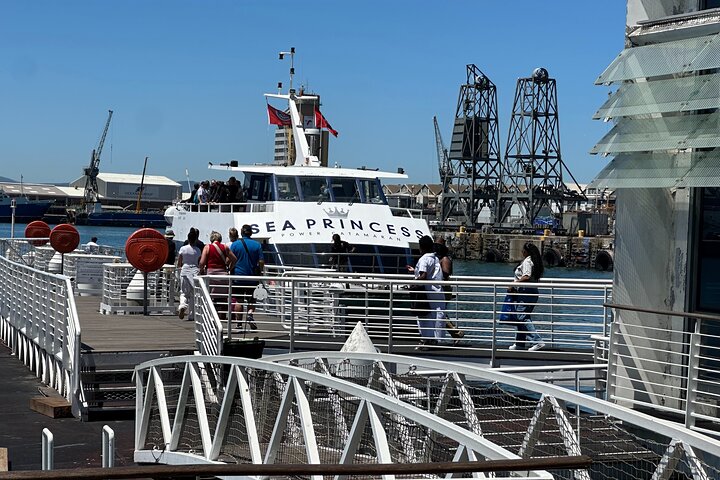 Robben Island Half Day Tour with Pre-Booked Ticket from Cape Town