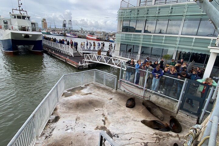 Robben Island Half Day Tour with Pre-Booked Ticket from Cape Town
