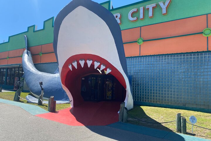 Gulf Shores Beach Splash and Dash Tour & Scavenger Hunt