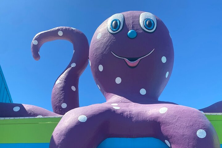 Gulf Shores Beach Splash and Dash Tour & Scavenger Hunt