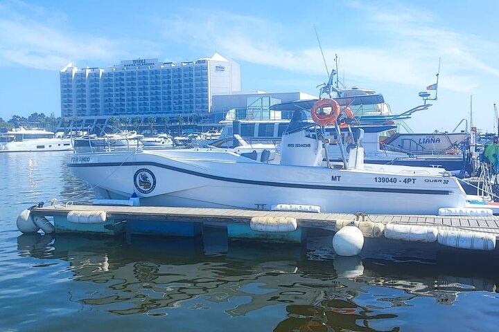 Benagil And Dolphins Tour