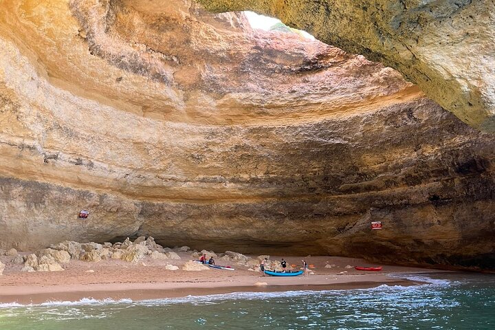 Benagil And Dolphins Tour