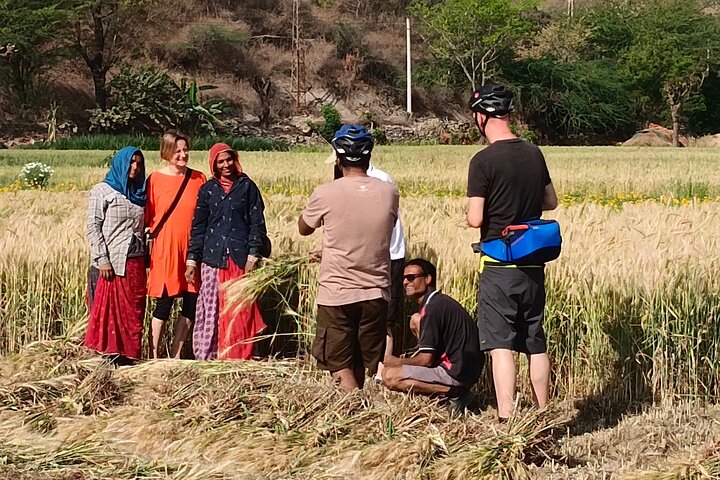 Udaipur Countryside Biking excursion